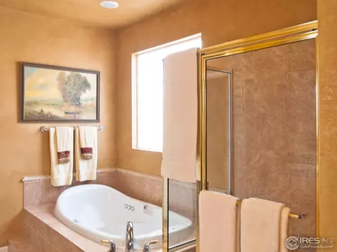 505 Lakeside Pl, Windsor, CO 80550 photo 14