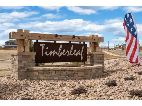 8366 E 132nd Dr, Thornton, CO 80602 photo 21