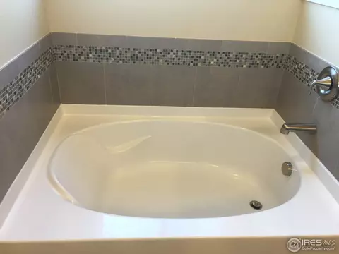 909 Barn Yard Dr, Windsor, CO 80550 photo 5