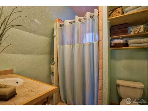 618 Estes Park Estates Dr, Lyons, CO 80540 photo 26