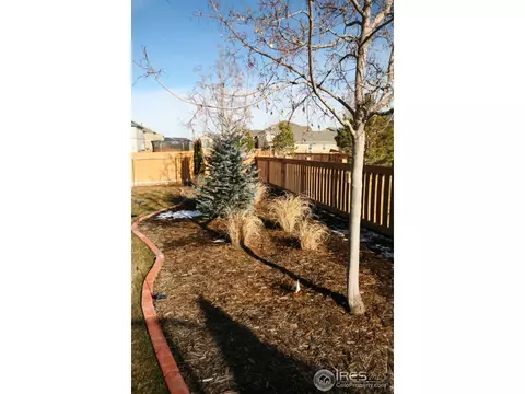 1569 Windshire Dr, Windsor, CO 80550 photo 19