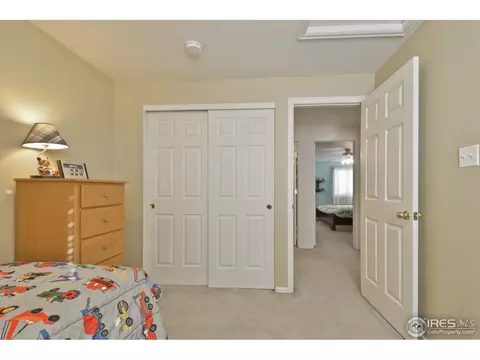 5463 Fox Run Blvd, Frederick, CO 80504 photo 19