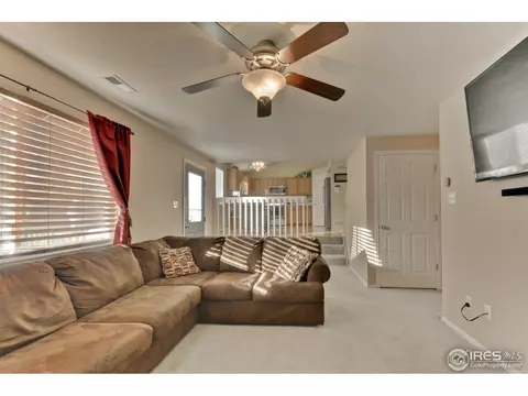 5463 Fox Run Blvd, Frederick, CO 80504 photo 11