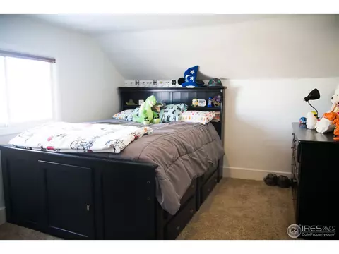 214 Walnut St, Windsor, CO 80550 photo 22
