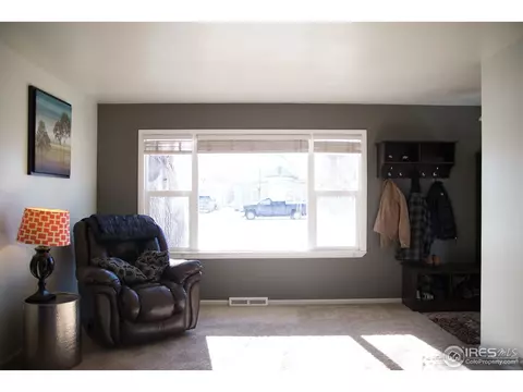 214 Walnut St, Windsor, CO 80550 photo 4