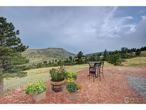2359 Buffalo Ridge Rd, Lyons, CO 80540 photo 33