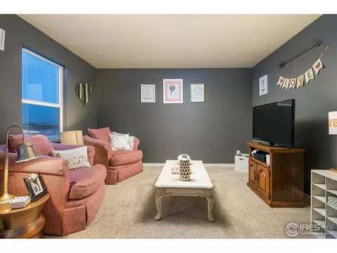 10955 Ebony St, Firestone, CO 80504 photo 18