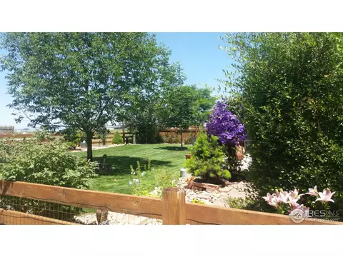 6521 Eagle Butte Ave, Frederick, CO 80516 photo 6