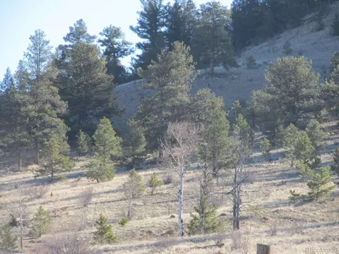 5896 Cohonina Rd, Hartsel, CO 80449