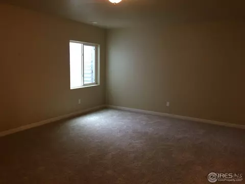 917 Barn Yard Dr, Windsor, CO 80550 photo 13