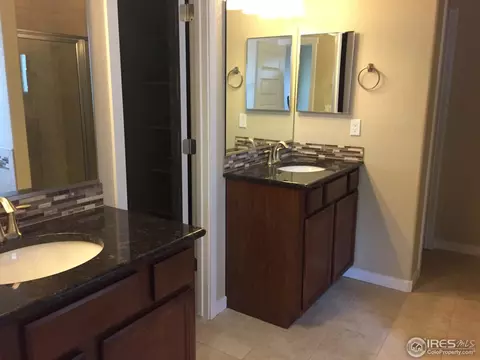 917 Barn Yard Dr, Windsor, CO 80550 photo 8
