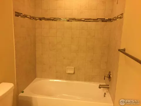 917 Barn Yard Dr, Windsor, CO 80550 photo 12
