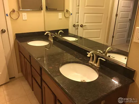 917 Barn Yard Dr, Windsor, CO 80550 photo 11