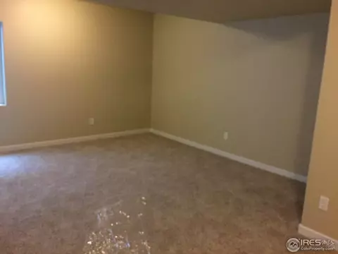 917 Barn Yard Dr, Windsor, CO 80550 photo 14
