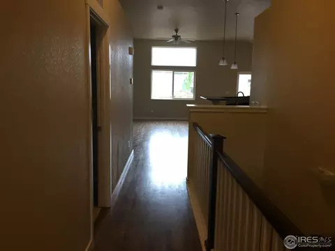 917 Barn Yard Dr, Windsor, CO 80550 photo 4