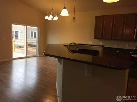 917 Barn Yard Dr, Windsor, CO 80550 photo 7