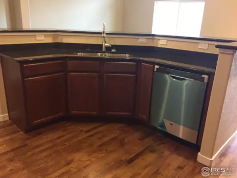 917 Barn Yard Dr, Windsor, CO 80550 photo 6