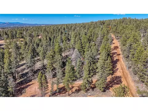 81 Garnet Way, Florissant, CO 80816
