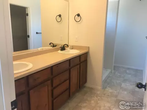 383 Mt Bross Ave, Windsor, CO 80550 photo 6