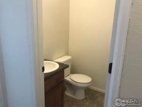 383 Mt Bross Ave, Windsor, CO 80550 photo 7