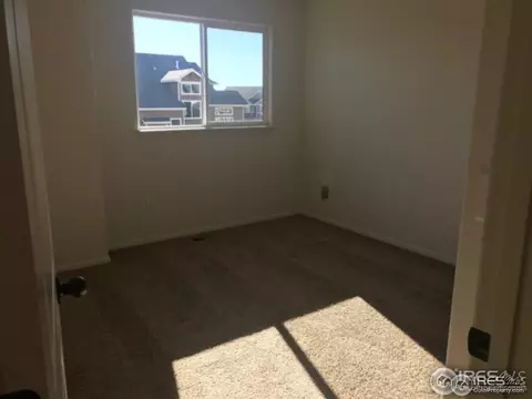 383 Mt Bross Ave, Windsor, CO 80550 photo 10