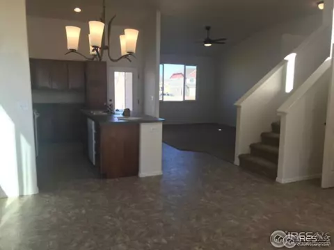 383 Mt Bross Ave, Windsor, CO 80550 photo 2