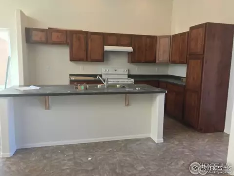 383 Mt Bross Ave, Windsor, CO 80550 photo 4