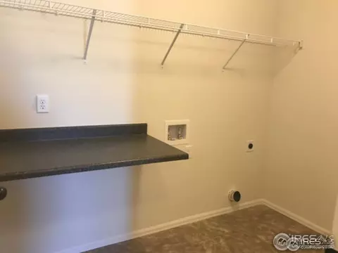 383 Mt Bross Ave, Windsor, CO 80550 photo 5