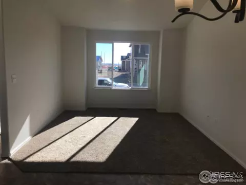 383 Mt Bross Ave, Windsor, CO 80550 photo 3