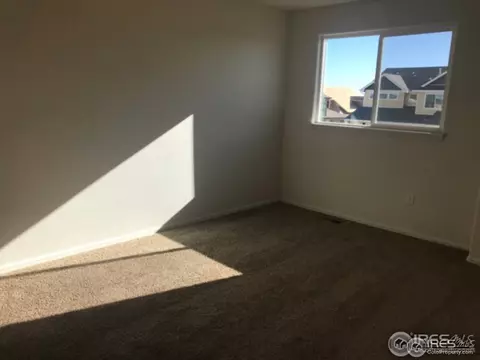 383 Mt Bross Ave, Windsor, CO 80550 photo 9