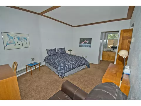 16 Baca Mdws, Crestone, CO 81131 photo 23