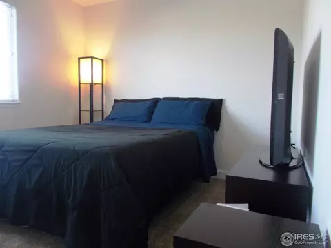 5199 Remington Ave, Firestone, CO 80504 photo 15