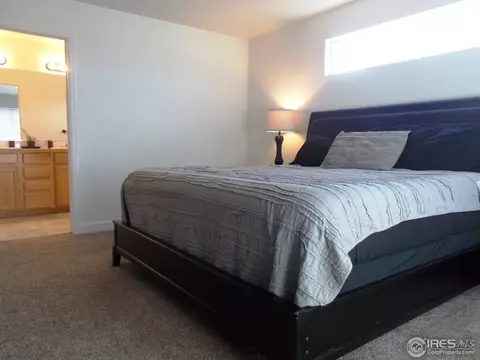 5199 Remington Ave, Firestone, CO 80504 photo 20