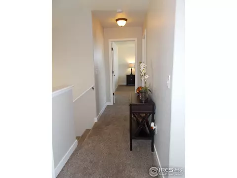 5199 Remington Ave, Firestone, CO 80504 photo 17