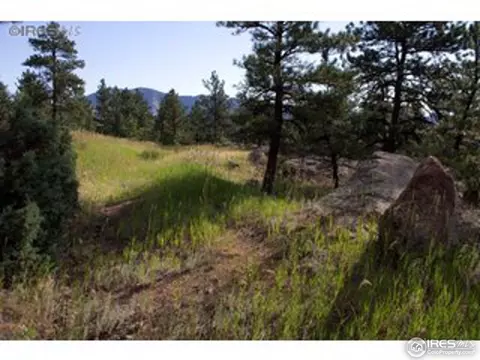1615 Spring Gulch, Lyons, CO 80540 photo 6