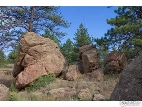1615 Spring Gulch, Lyons, CO 80540 photo 5