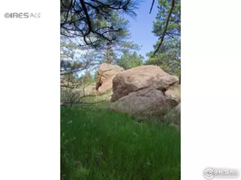 1615 Spring Gulch, Lyons, CO 80540 photo 14