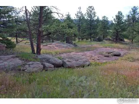 1615 Spring Gulch, Lyons, CO 80540 photo 3