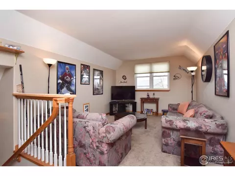 9203 E 155th Dr, Brighton, CO 80602 photo 24