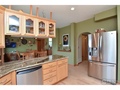 9203 E 155th Dr, Brighton, CO 80602 photo 4