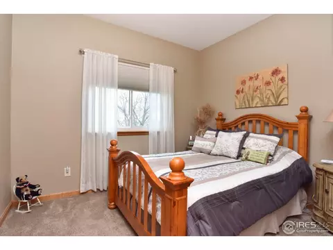 9203 E 155th Dr, Brighton, CO 80602 photo 20