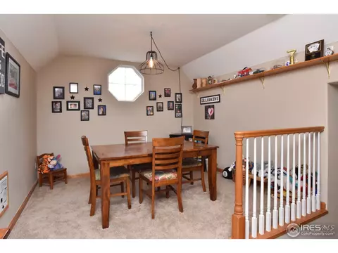 9203 E 155th Dr, Brighton, CO 80602 photo 26