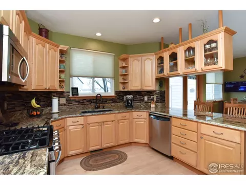 9203 E 155th Dr, Brighton, CO 80602 photo 11