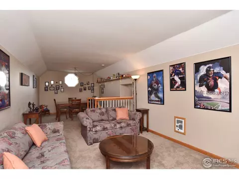 9203 E 155th Dr, Brighton, CO 80602 photo 25
