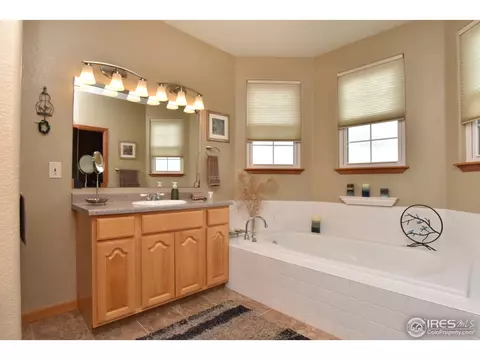 9203 E 155th Dr, Brighton, CO 80602 photo 18