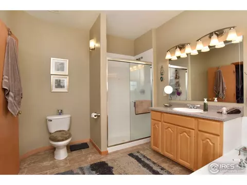 9203 E 155th Dr, Brighton, CO 80602 photo 19