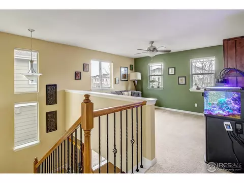3553 E 141st Pl, Thornton, CO 80602 photo 14