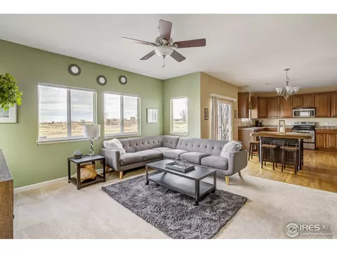 3553 E 141st Pl, Thornton, CO 80602 photo 8