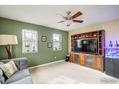 3553 E 141st Pl, Thornton, CO 80602 photo 16