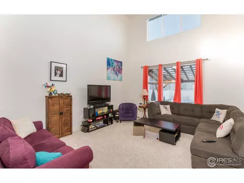 11417 Cherryvale St, Firestone, CO 80504 photo 13